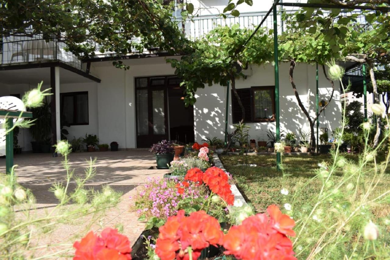 Apartments Marina Bečići Extérieur photo